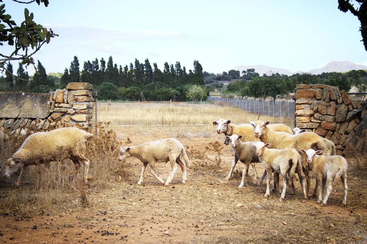 סון סרה דה מרינה Agroturismo Can Pere Rei מראה חיצוני תמונה